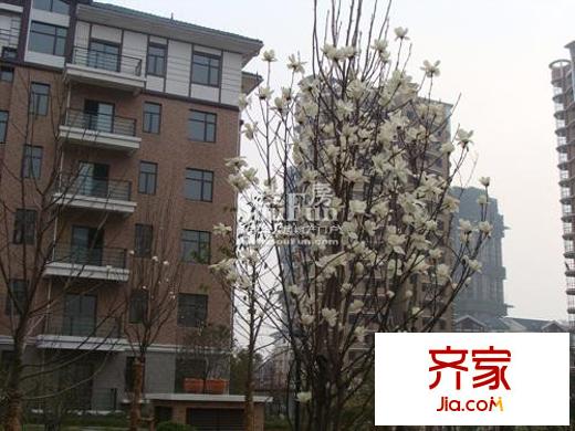 名門世家外景圖高層