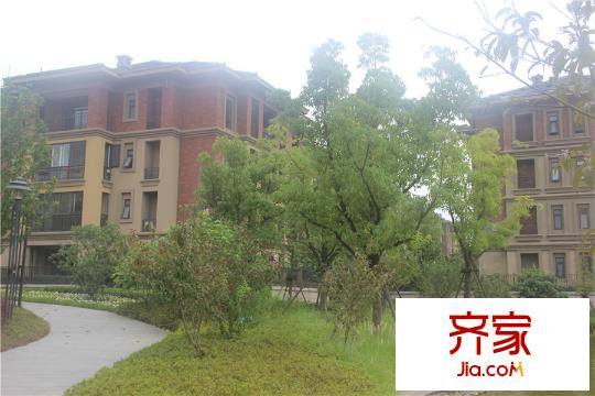 洛城・中央御景小区实景照片(2015.08)