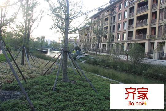 洛城・中央御景(2013.10.15)