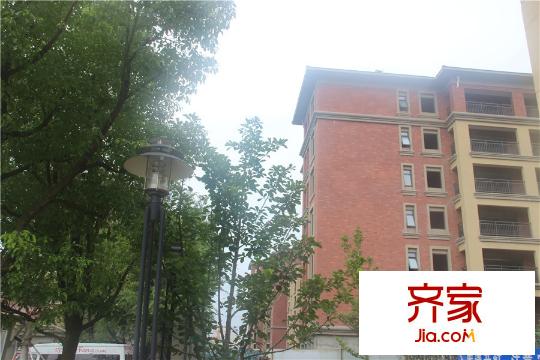 洛城・中央御景小区实景照片(2015.08)