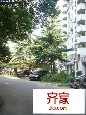 金乐苑外景图实景图