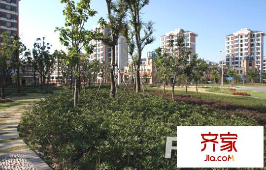 鸿泰苑外景图