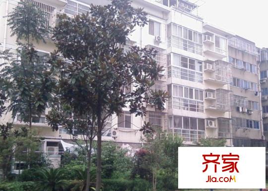 荷叶小筑外景图
