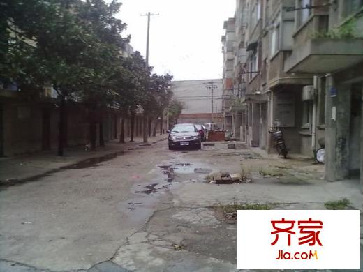 陈家岸新村外景图