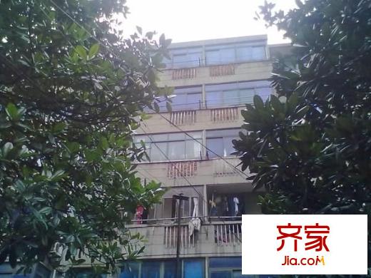 陈家岸新村外景图
