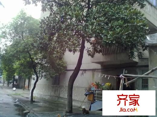 陈家岸新村外景图