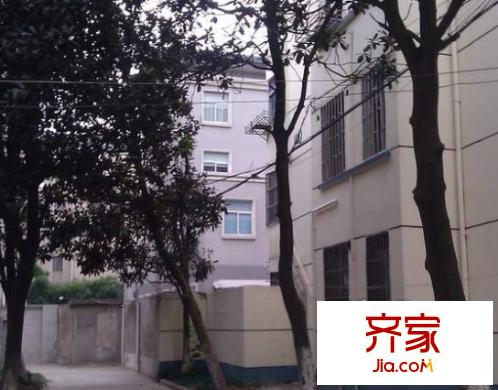 蓓蕾新村外景图