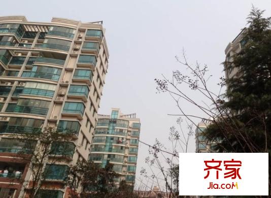 梅满嘉园外景图