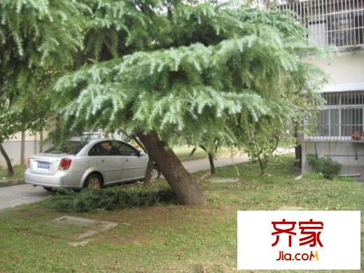 峰影新村外景图