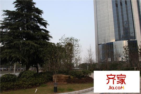 奕淳・奕翔国际公寓现房实景(2015.3)
