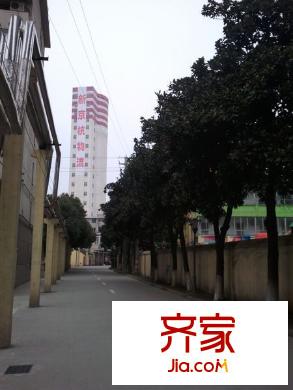 新苑一村外景图