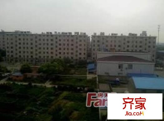 新苑一村外景图