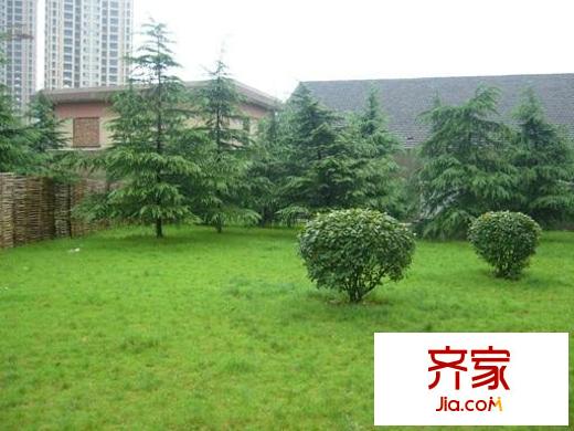 格林春天野花园外景图