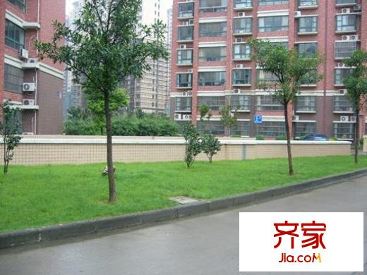 格林春天野花园外景图