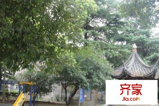 江大新村外景图