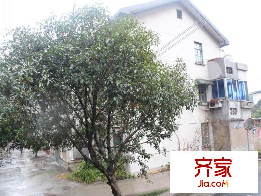 青松新村外景图
