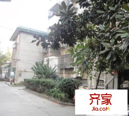 槐古一村外景图