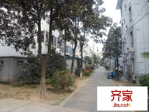 团结二村外景图
