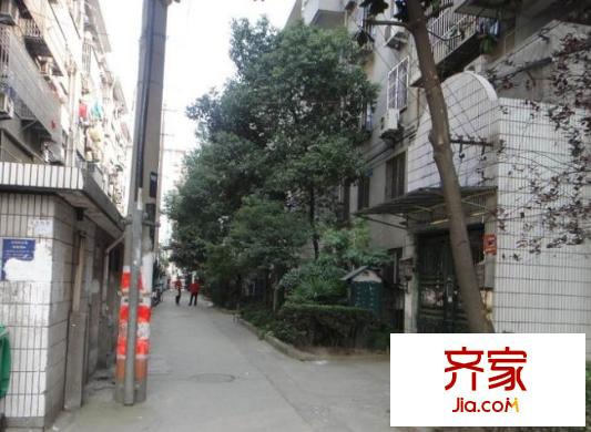 槐古一村外景图