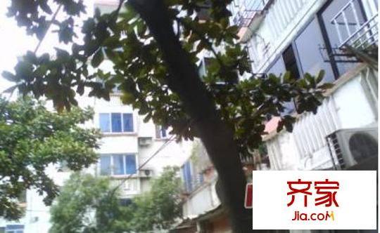 永胜新村外景图
