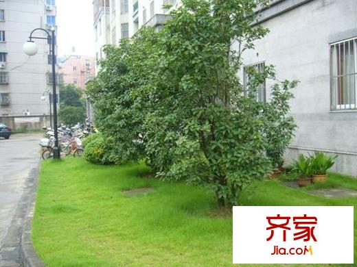 益明苑外景图