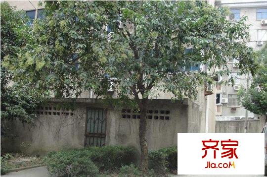荣巷新村外景图 3