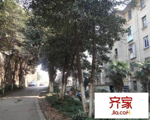 青山一村外景图