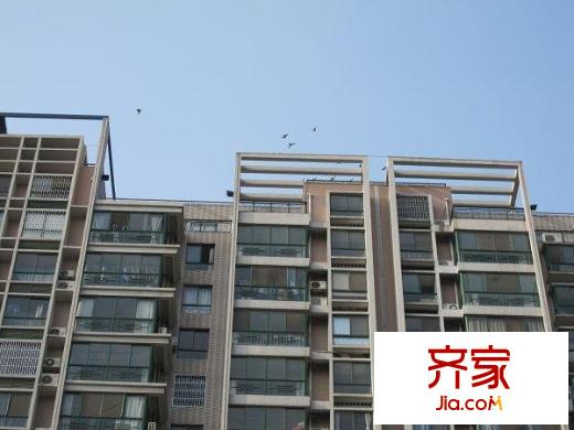 华夏春晓外景图实景图