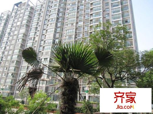 华夏春晓外景图实景图