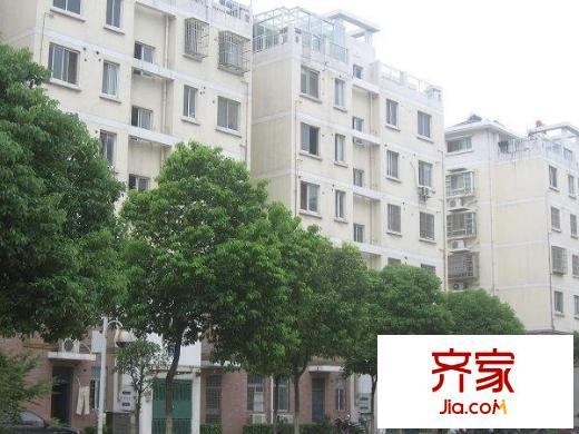 四季花城外景图实景图