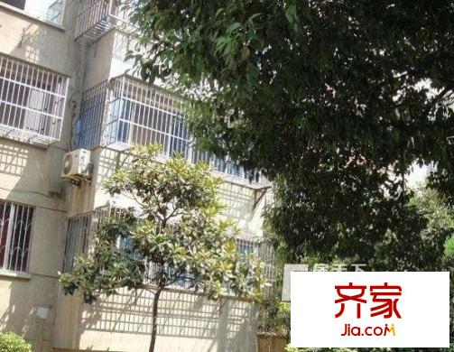桃园新村外景图