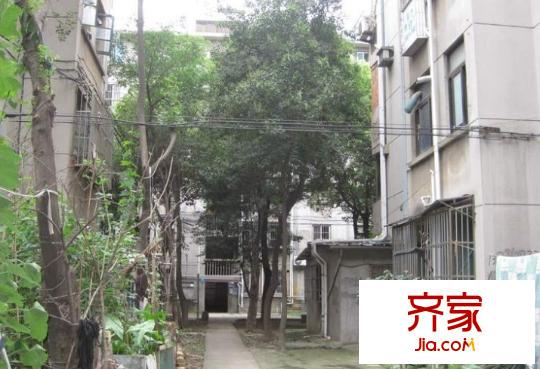 中南新村外景图
