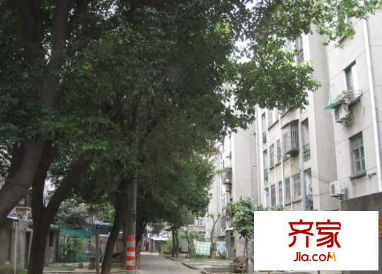 中南新村外景图