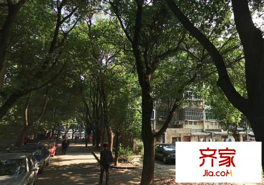 中联新村外景图