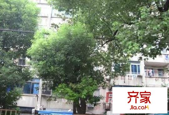 中联新村外景图