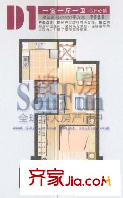 阳光城市花园二期户型图D1 1室1厅1卫