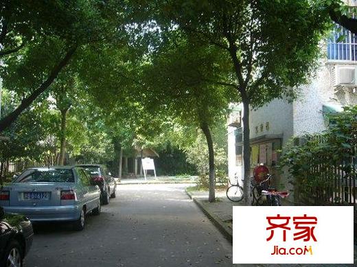 新江南花园外景图实景图