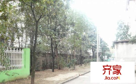 曹张新村外景图