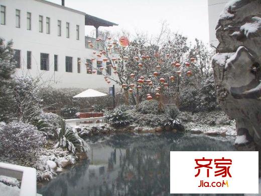 金科东方王榭外景图实景图