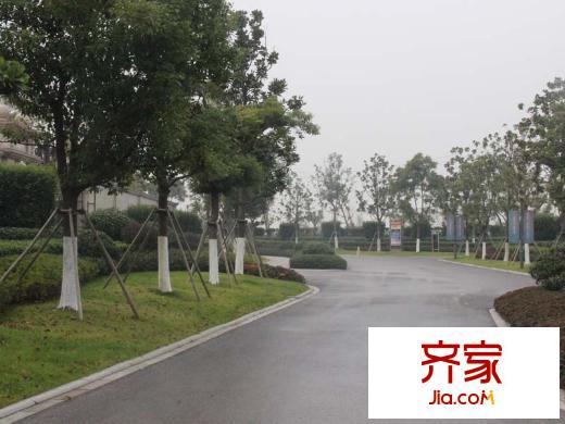 湖堤漫步小区(2012,12,14)