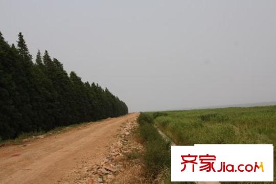 湖堤漫步规划中的沿太湖自行车赛道