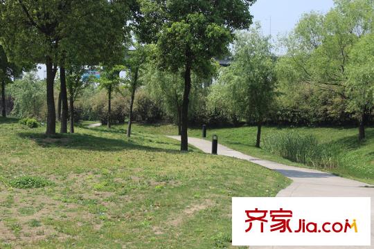 洛城・悦湖国际周边配套--公园