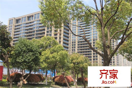 绿城玉兰西花园工程进度(2015.4.9)