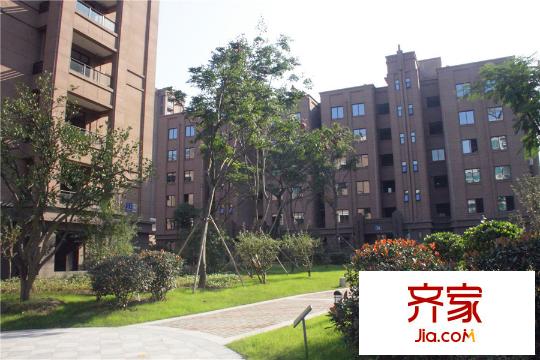 美满锦园小区实景(2014.11)