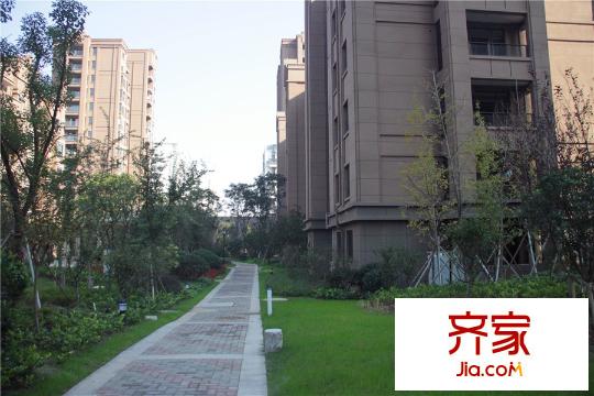 美满锦园小区实景(2014.11)