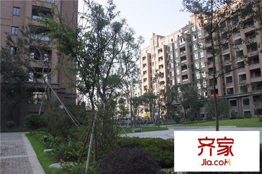 美满锦园小区实景(2014.11)