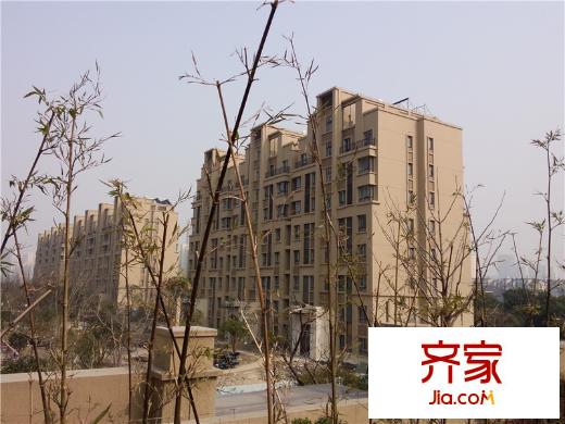魅力万科城酩悦椿萱工程进度(2014.3)