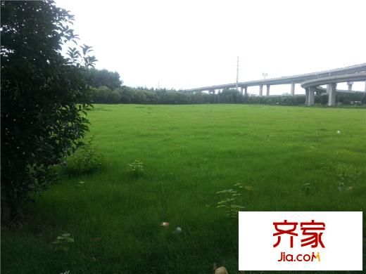 高浪路南侧江苏中佰项目 (2014.7)
