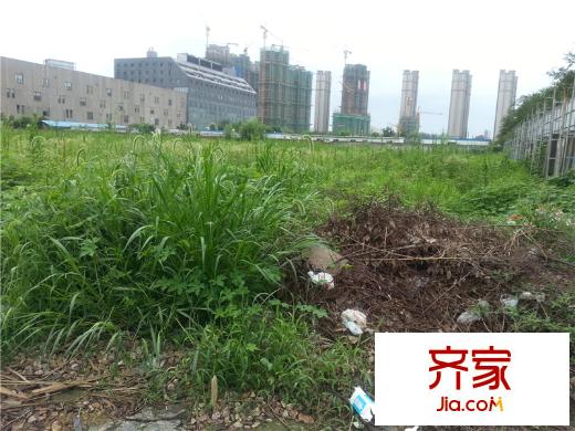 新区经济发展春江路项目(2014.7)