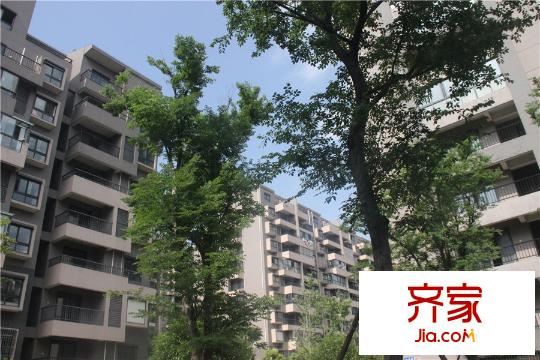 苹果园・幸福城小区(2015.5)